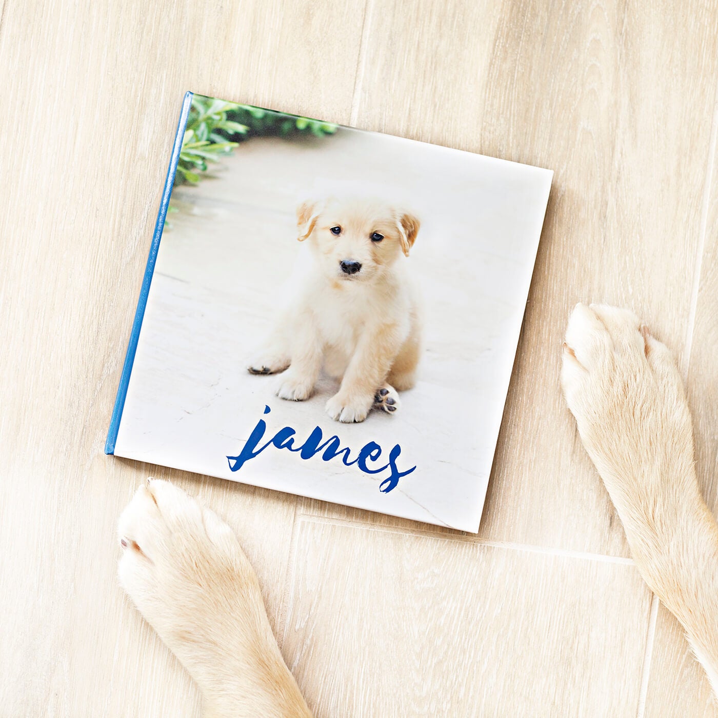 pet photobook by printique